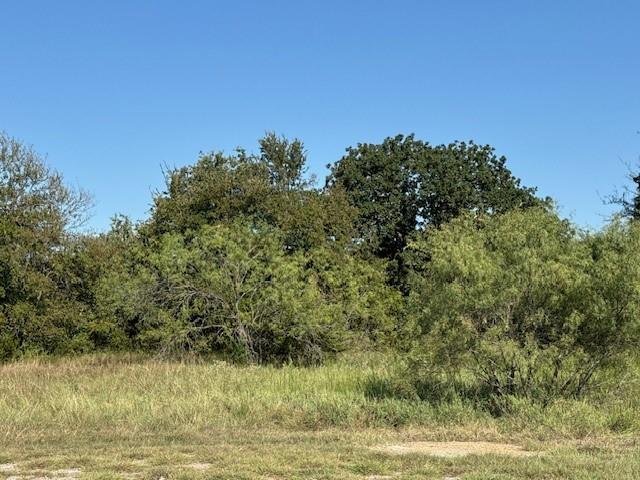 31033 Doe Run Court