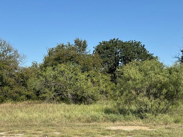 31033 Doe Run Court - Photo 1