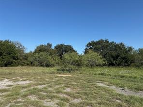 31033 Doe Run Court - Photo 2