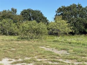 31033 Doe Run Court - Photo 3