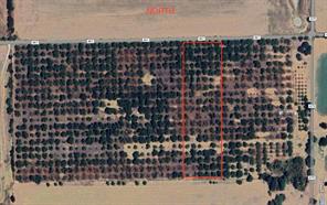 TBD CR 461 - Photo 2
