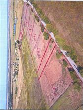 5101 County Road 1202 - Photo 2