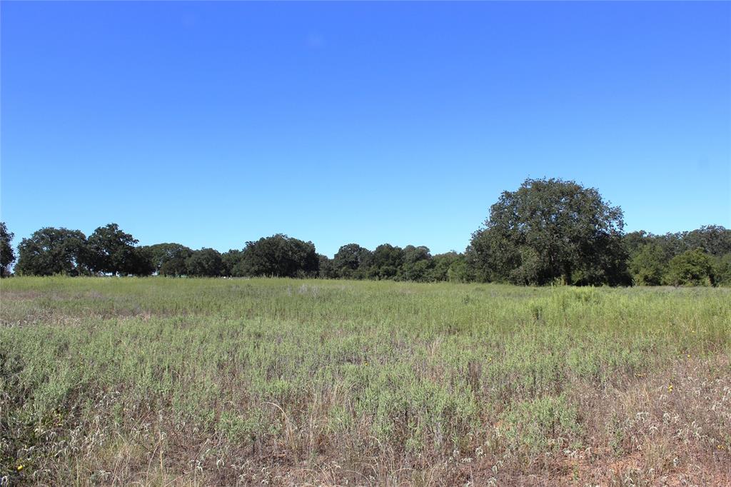 165 County Road 315 - Photo 1