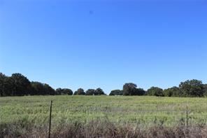 165 County Road 315 - Photo 8