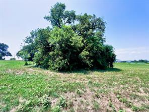Lot 73 SE County Road 3150 - Photo 16