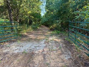 790 Ferguson Road - Photo 3
