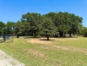 790 Ferguson Road - Photo 4