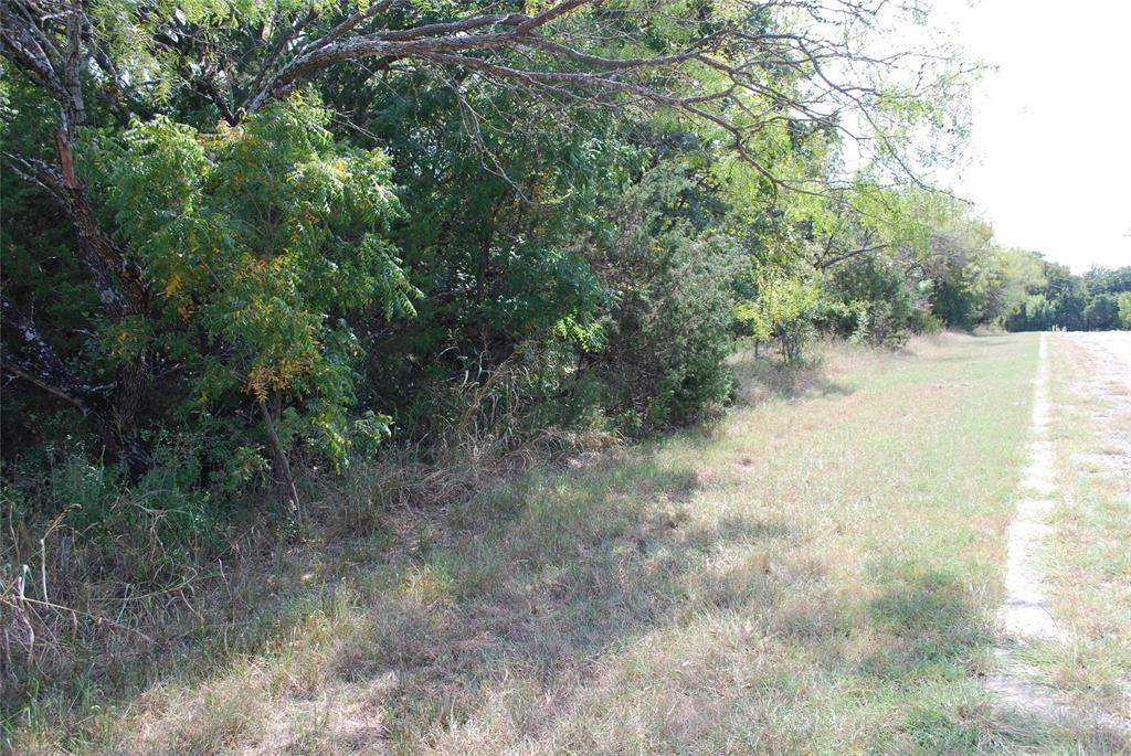 31038 Doe Run Court - Photo 1