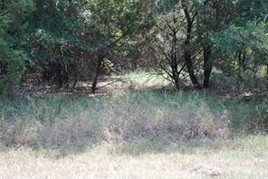 31038 Doe Run Court - Photo 2