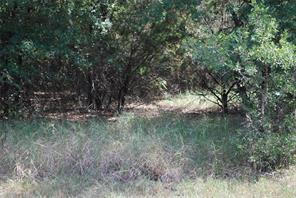 31038 Doe Run Court - Photo 3