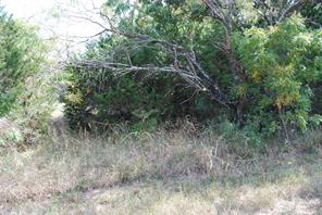 31038 Doe Run Court - Photo 5