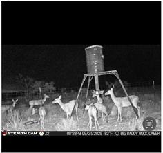 TBD CR 467 CR 467 - Photo 26