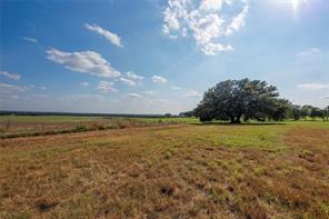 11157 N State Highway 36 - Photo 28