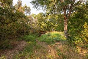 11157 N State Highway 36 - Photo 33
