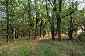 11157 N State Highway 36 - Photo 37