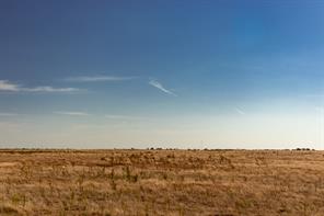 TBD County Road 242 - Photo 12