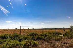 TBD County Road 242 - Photo 17