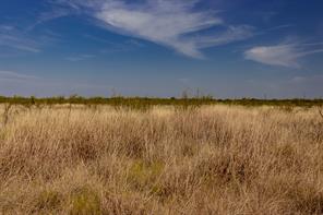 TBD County Road 242 - Photo 22