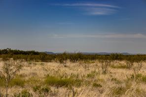 TBD County Road 242 - Photo 24