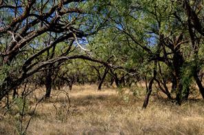 TBD County Road 242 - Photo 3