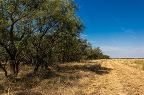 TBD County Road 242 - Photo 33