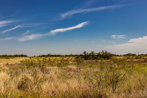 TBD County Road 242 - Photo 35