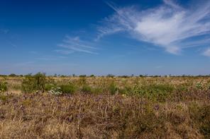TBD County Road 242 - Photo 39