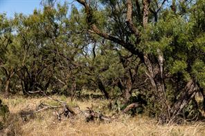 TBD County Road 242 - Photo 5