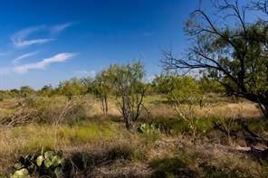 TBD County Road 242 - Photo 6