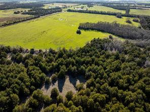 1500 County Road 24800 Road - Photo 12