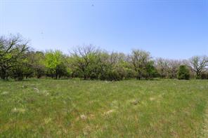tbd Oglesby Neff Park Road - Photo 10