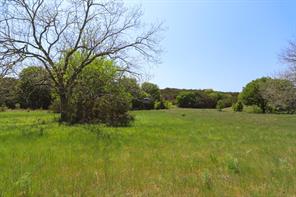 tbd Oglesby Neff Park Road - Photo 13