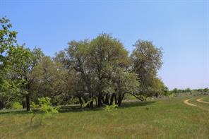 tbd Oglesby Neff Park Road - Photo 16