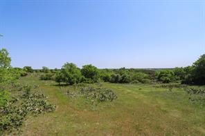 tbd Oglesby Neff Park Road - Photo 18