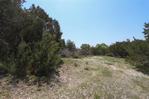 tbd Oglesby Neff Park Road - Photo 19