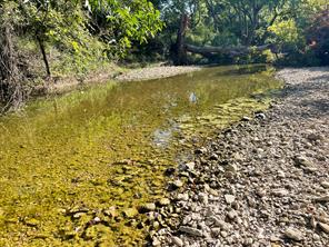 tbd Oglesby Neff Park Road - Photo 27