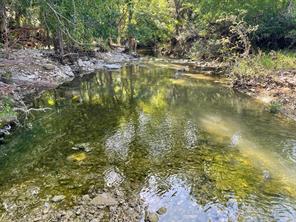 tbd Oglesby Neff Park Road - Photo 30