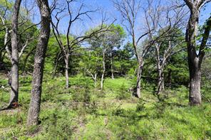 tbd Oglesby Neff Park Road - Photo 5