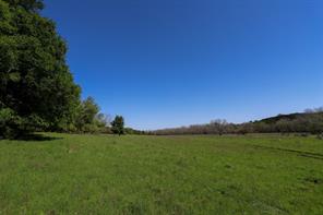 tbd Oglesby Neff Park Road - Photo 6