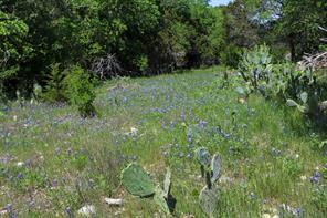 tbd Oglesby Neff Park Road - Photo 7