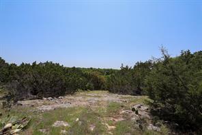tbd Oglesby Neff Park Road - Photo 8