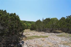 tbd Oglesby Neff Park Road - Photo 9