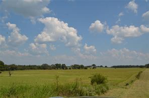 TBD FM 607 S - Photo 10