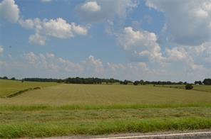 TBD FM 607 S - Photo 11
