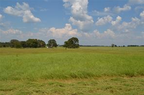 TBD FM 607 S - Photo 4