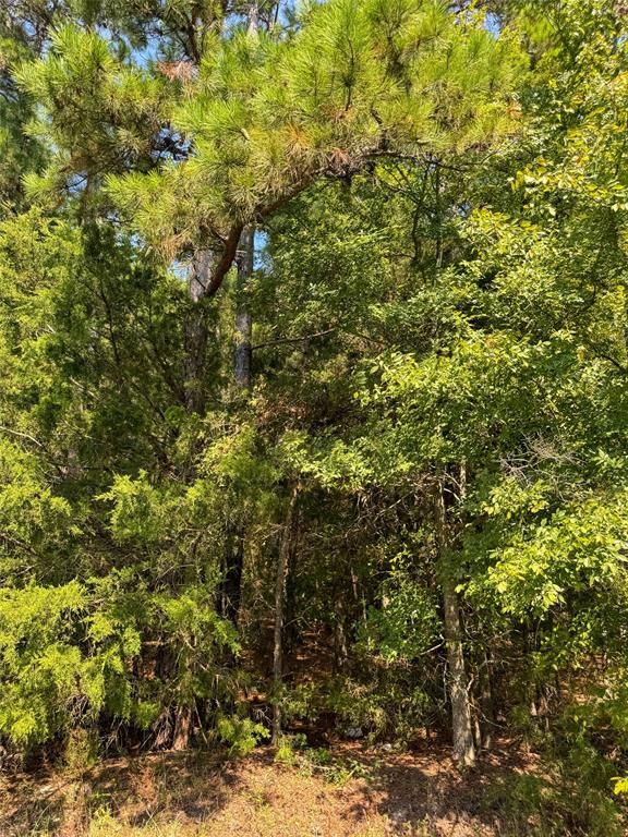 205 Highway 155 Highway - Photo 26