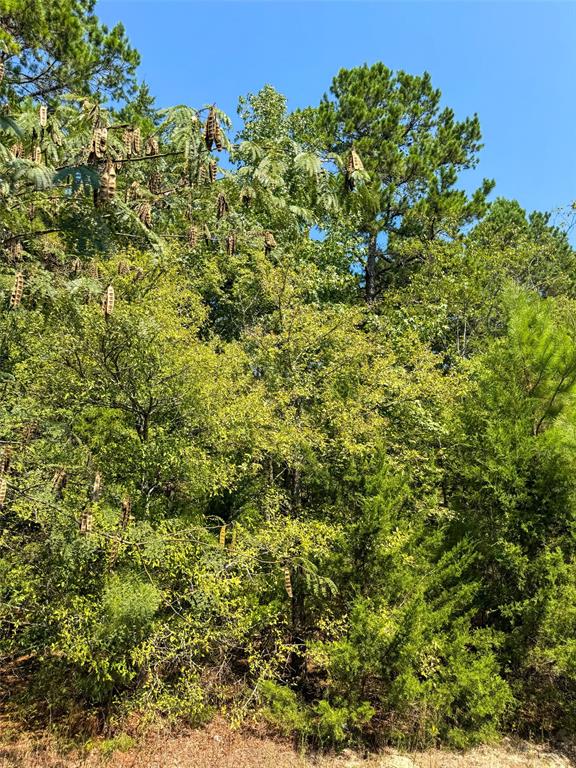 205 Highway 155 Highway - Photo 27