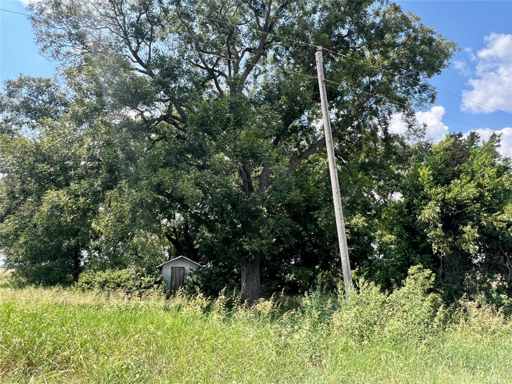 TBD 24 acres Lowell Road - Photo 13