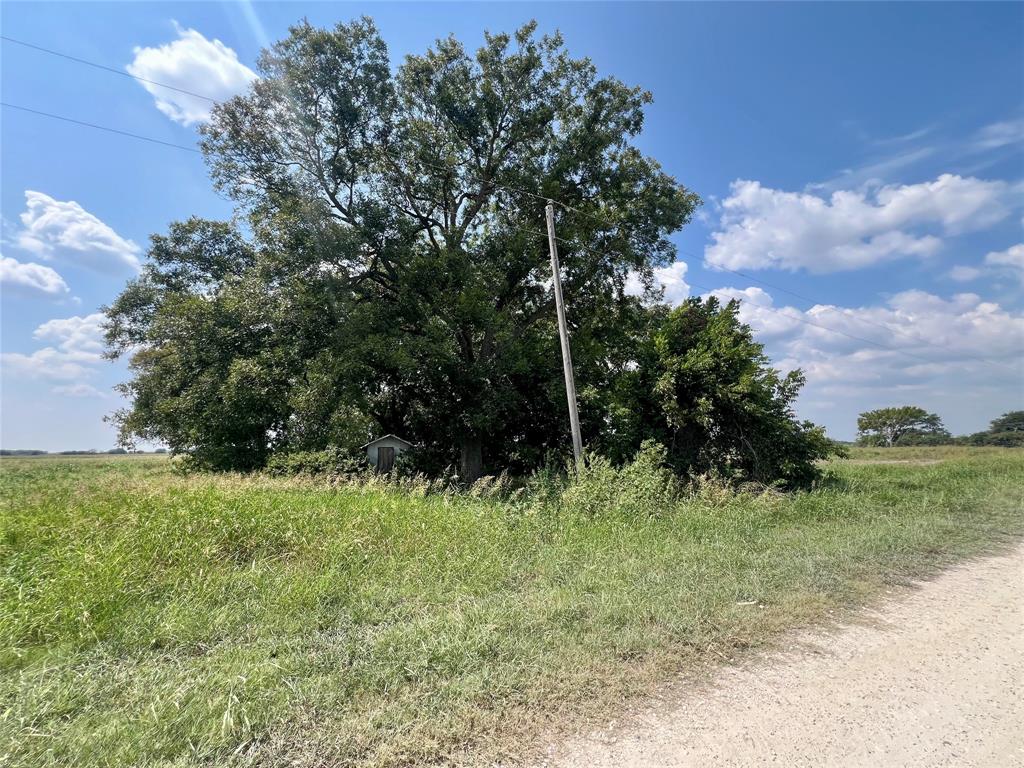 TBD 24 acres Lowell Road - Photo 15