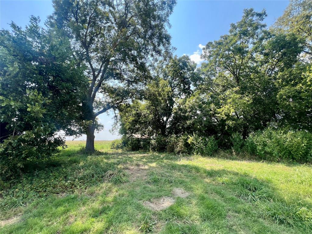 TBD 24 acres Lowell Road - Photo 9